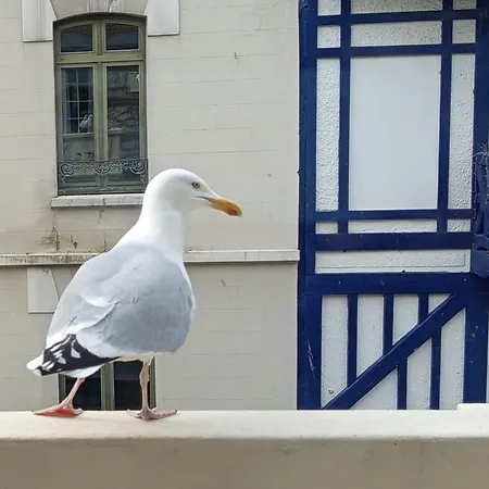 Apartment Of 60 M2 Near The Of *