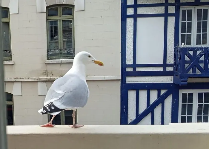 Appartement Of 60 M2 Near The Of *